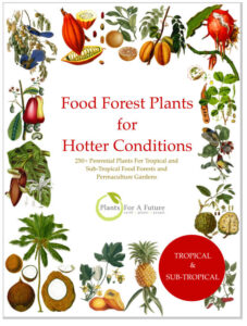 Tropical Food Forest Book